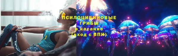 амф Богородицк