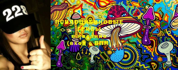амф Богородицк
