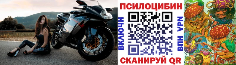 kraken цена наркотик мориарти Telegram Псилоцибиновые грибы мухоморы Гудермес
