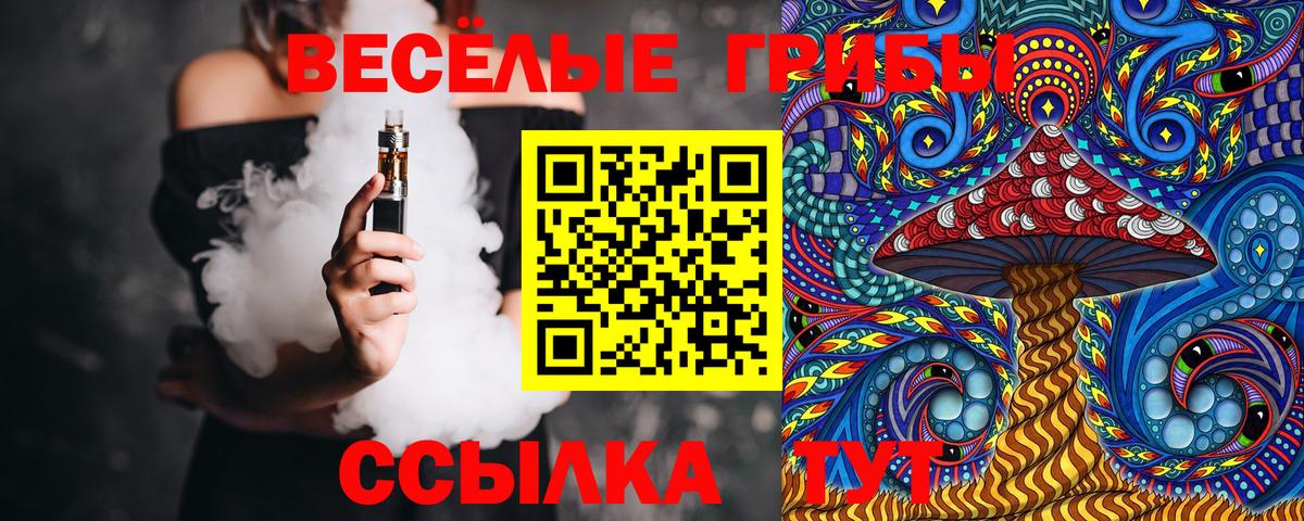 Гудермес  Галлюциногенные грибы мицелий  Вход с VPN 