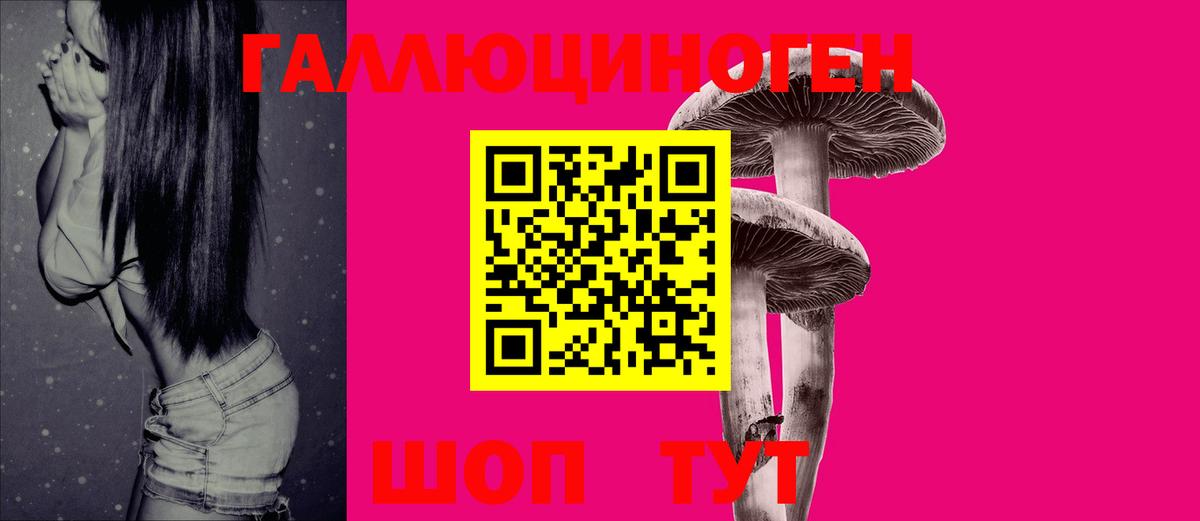 Псилоцибиновые грибы мицелий Гудермес